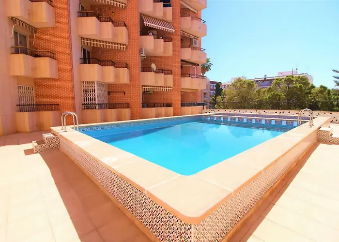 Alegria Id21 * تورّيفيِخا