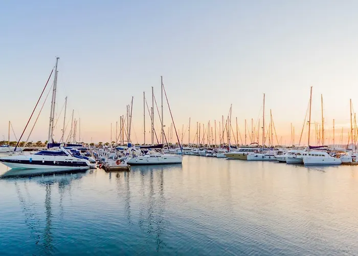 Alegria Id21 * تورّيفيِخا