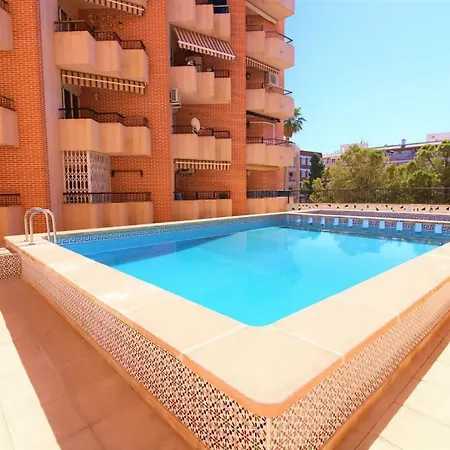 Alegria Id21 * تورّيفيِخا